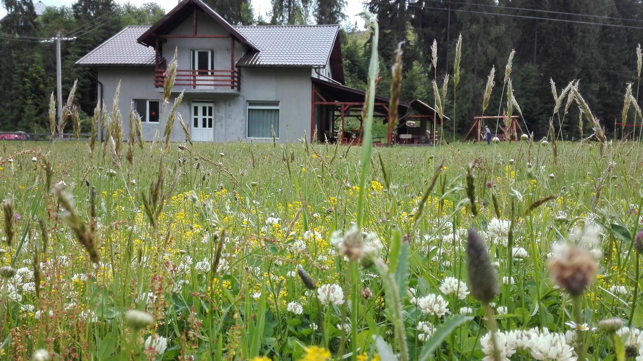 Cabana Georgiana Arieşeni Εξωτερικό φωτογραφία